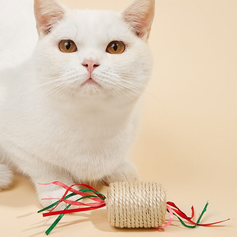 

1pc Woven Sisal Strip Cat Teaser Toy, Multicolor