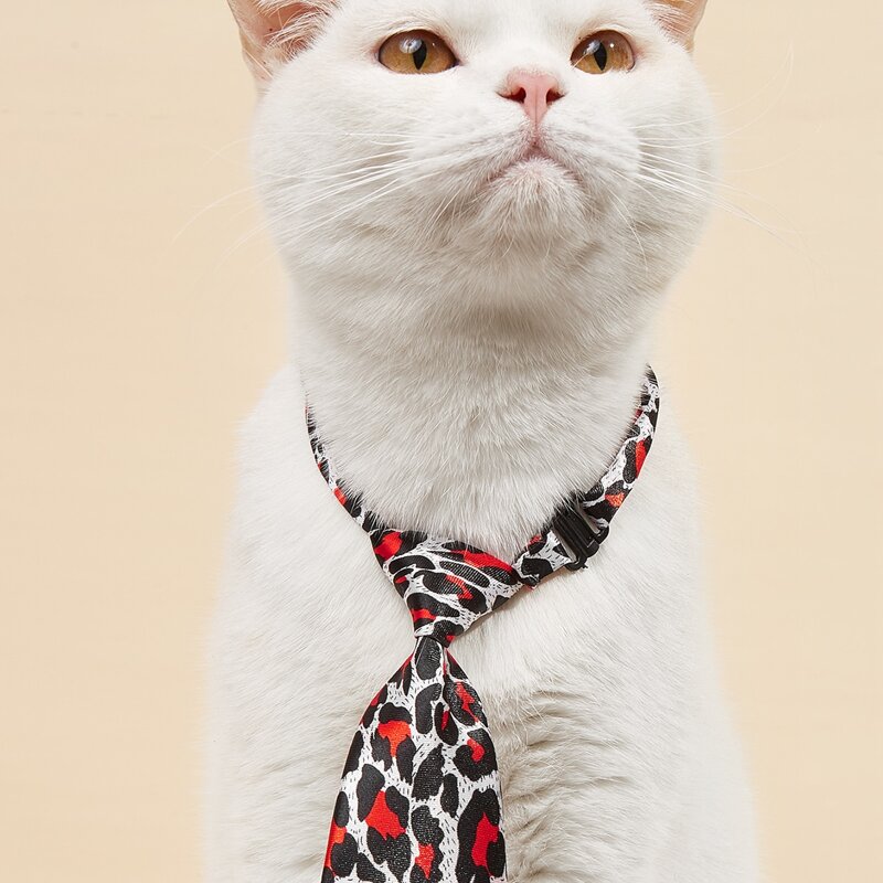 

Leopard Print Pet Tie, Multicolor