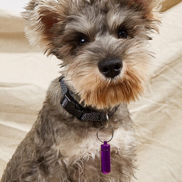 

1pc Plain Metal Pet ID Tag, Purple