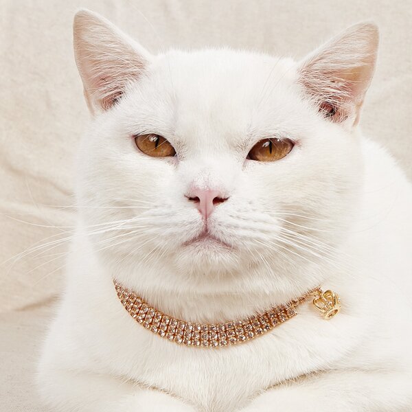 

Crown Pendant Rhinestone Pet Necklace, Gold