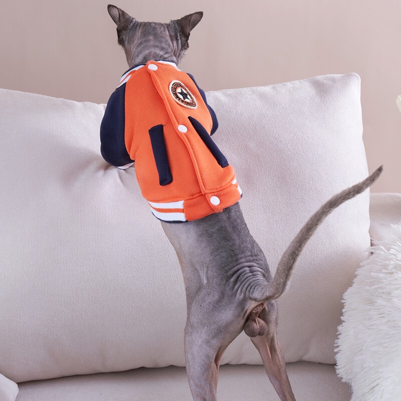 

Striped Pattern Pet Coat, Orange