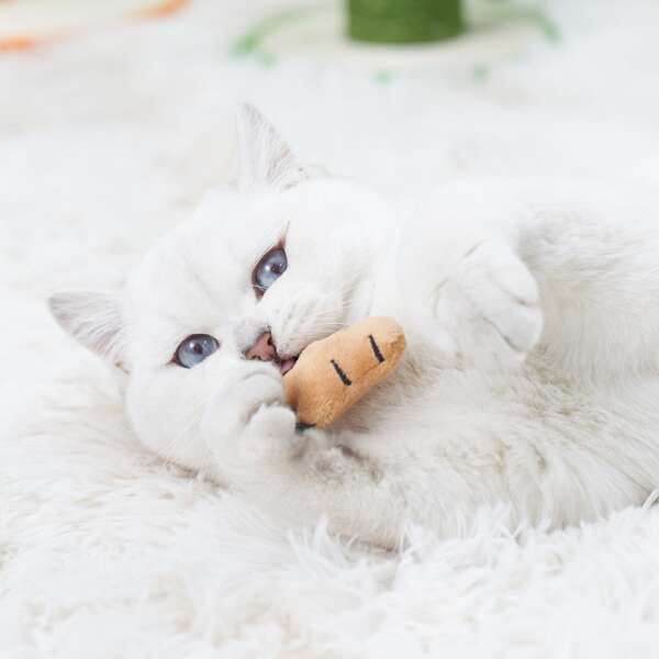 

Claw Shaped Pet Plush Toy, Brown