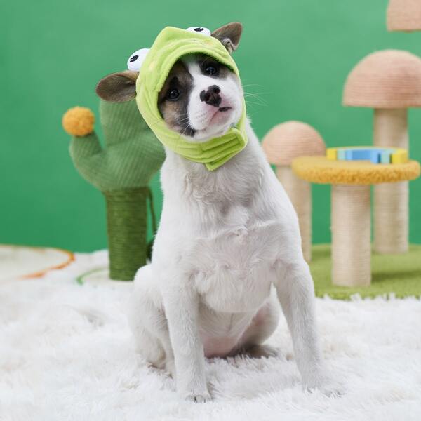 

Frog Design Pet Hat, Green