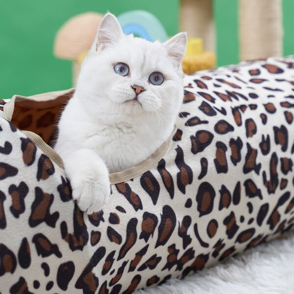 

Леопард Туннели для кошек, Коричневые