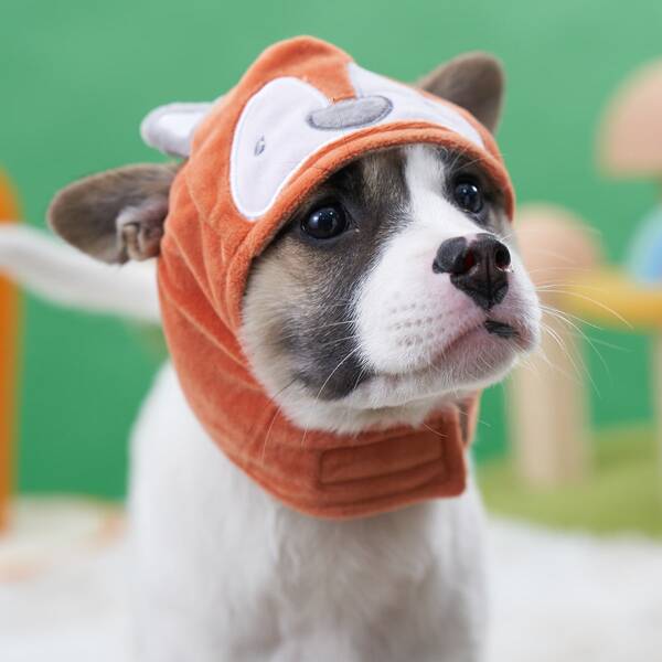 

Fox Design Pet Hat, Brown