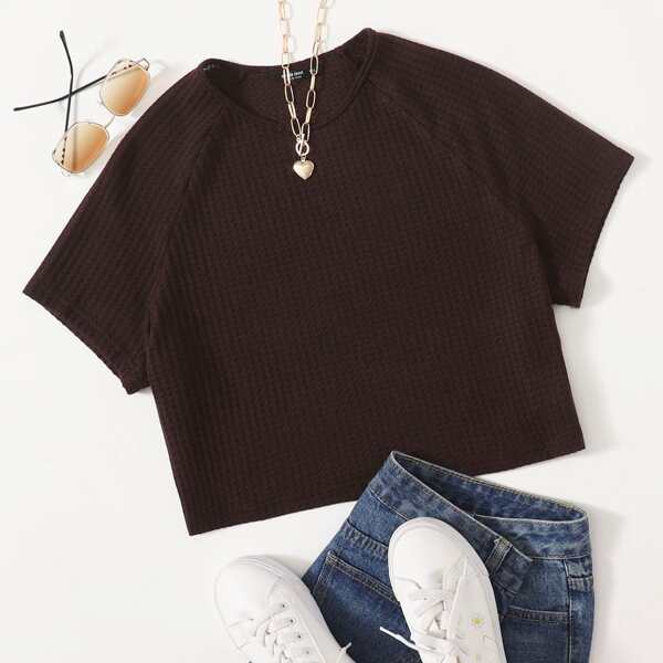 

Plus Raglan Sleeve Rib-knit Tee, Chocolate brown