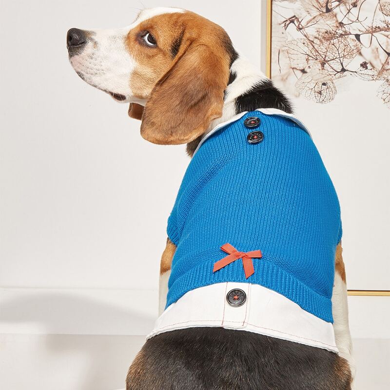 

Bow Decor Pet Sweater, Blue