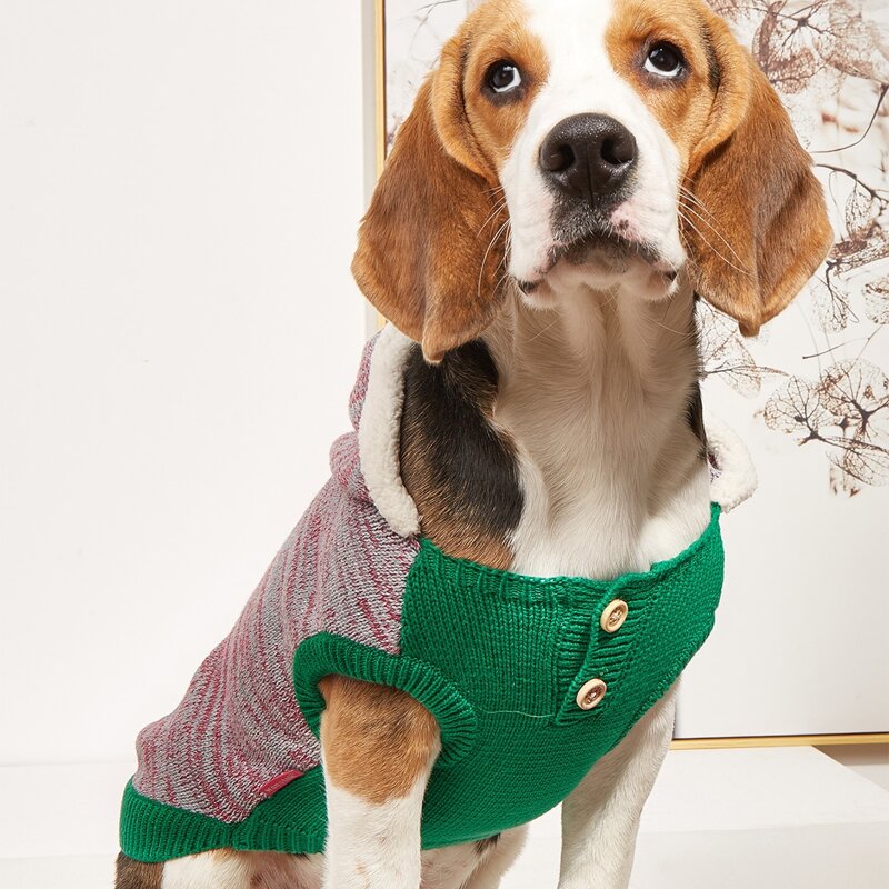 

Button Detail Hooded Pet Sweater, Multicolor