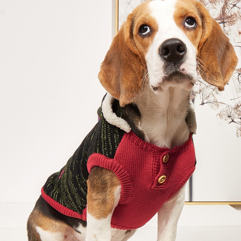 

Button Detail Hooded Pet Sweater, Multicolor