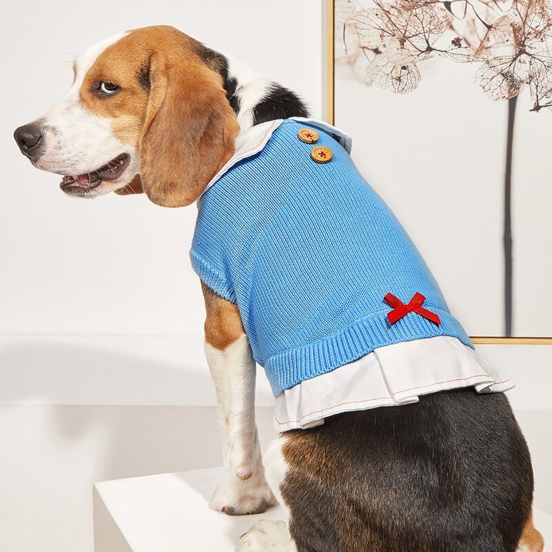 

Bow Decor Pet Sweater, Blue