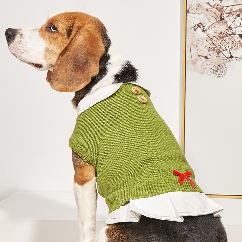 

Bow Decor Pet Sweater, Green