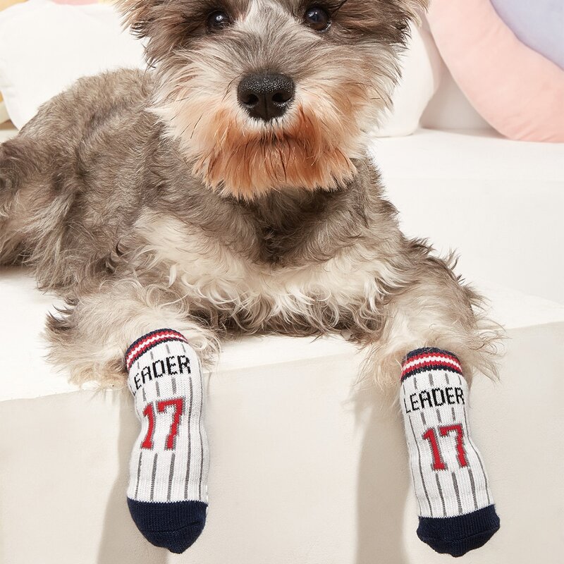 

4pcs Letter Graphic Striped Pet Socks, Multicolor