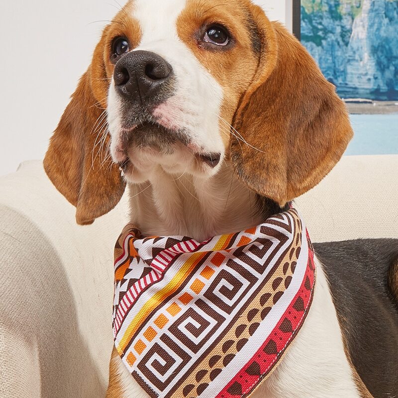 

Geometric Pattern Pet Bandana, Multicolor