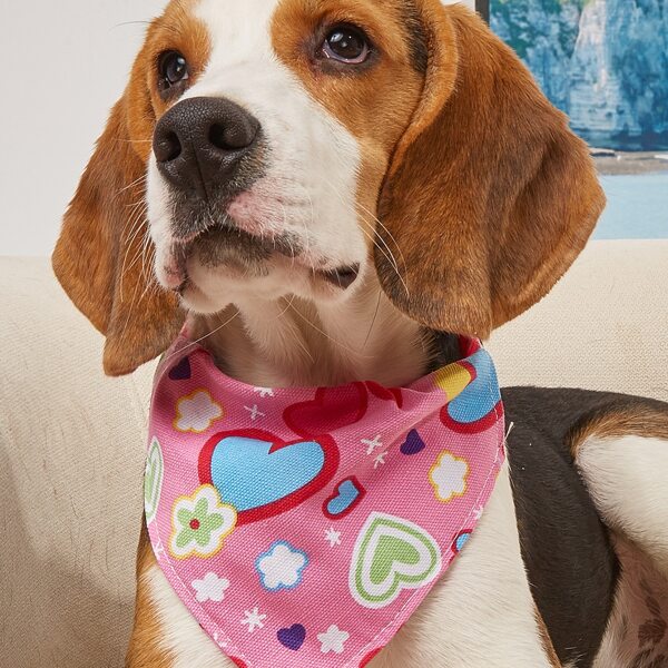 

Heart Print Pet Bandana, Multicolor