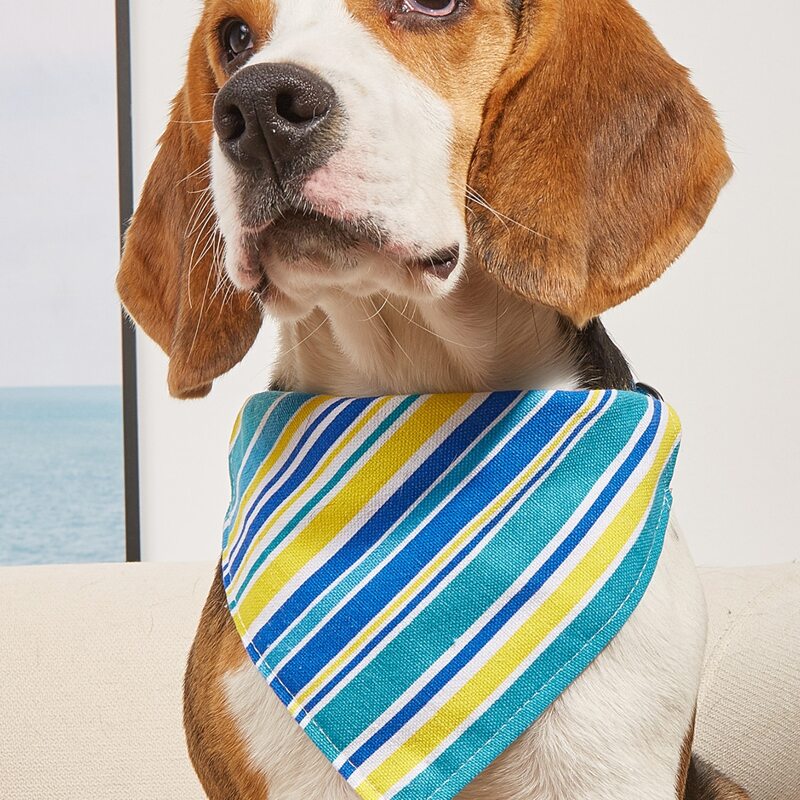 

Striped Pet Bandana, Multicolor