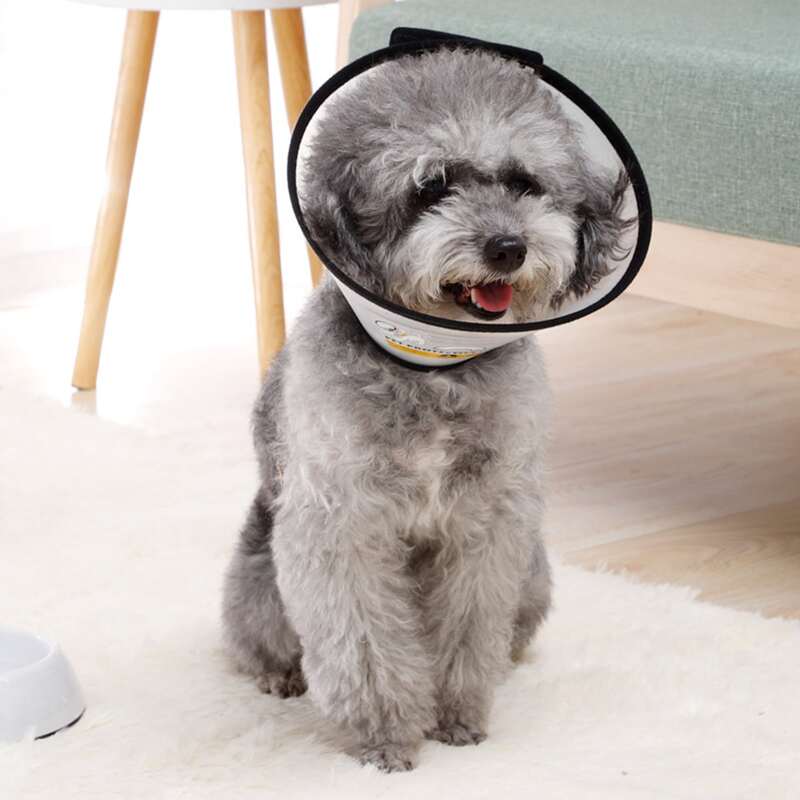

1pc Anti-bite Pet Elizabeth Collar, White