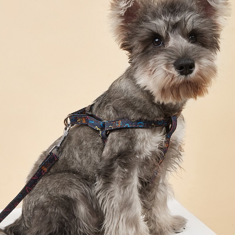 

1pc Numerals Pattern Pet Harness & 1pc Pet Leash, Multicolor