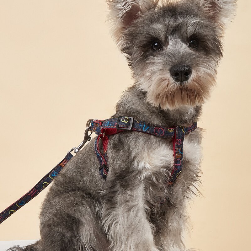 

1pc Numerals Pattern Pet Harness & 1pc Pet Leash, Multicolor