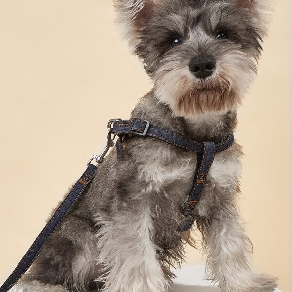 

1pc Denim Pet Harness & 1pc Pet Leash, Multicolor