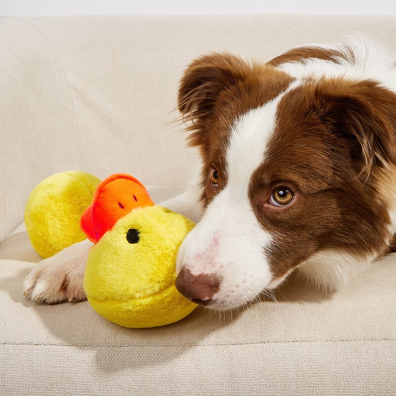 

Cartoon Duck Shaped Pet Sound Toy, Yellow