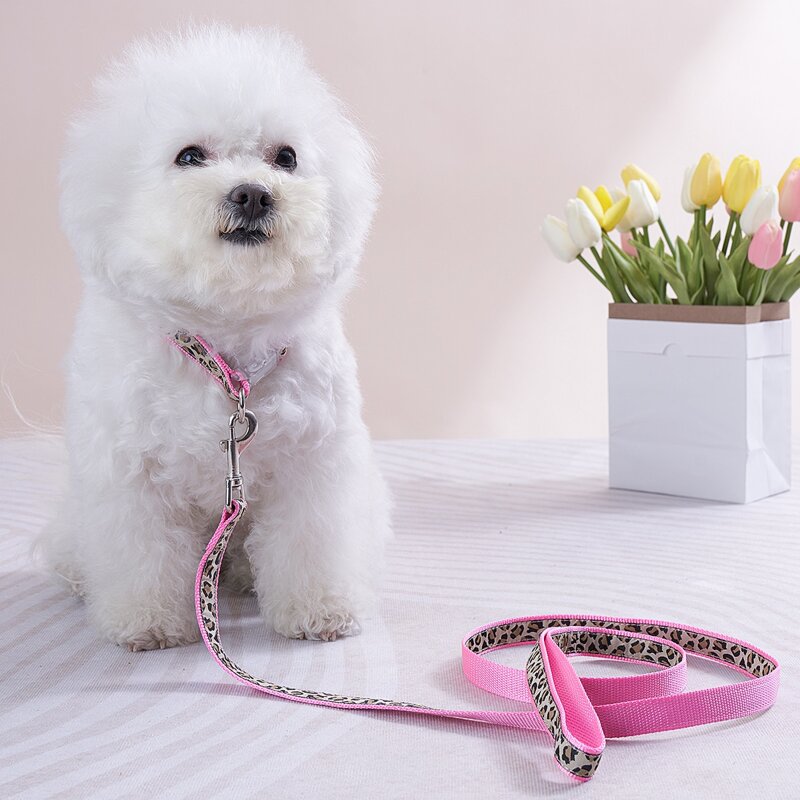 

1pc Leopard Pet Collar & 1pc Pet Leash, Pink