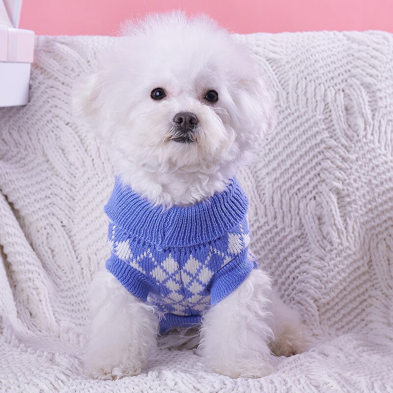 

Geometric Pattern Pet Sweater, Blue and white