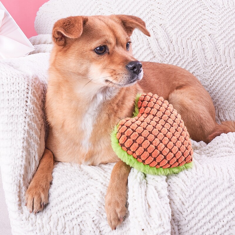 

Heart Shaped Pet Sound Toy, Orange
