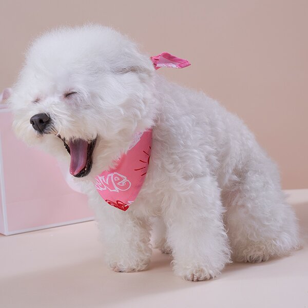 

Letter Graphic Pet Bandana, Pink