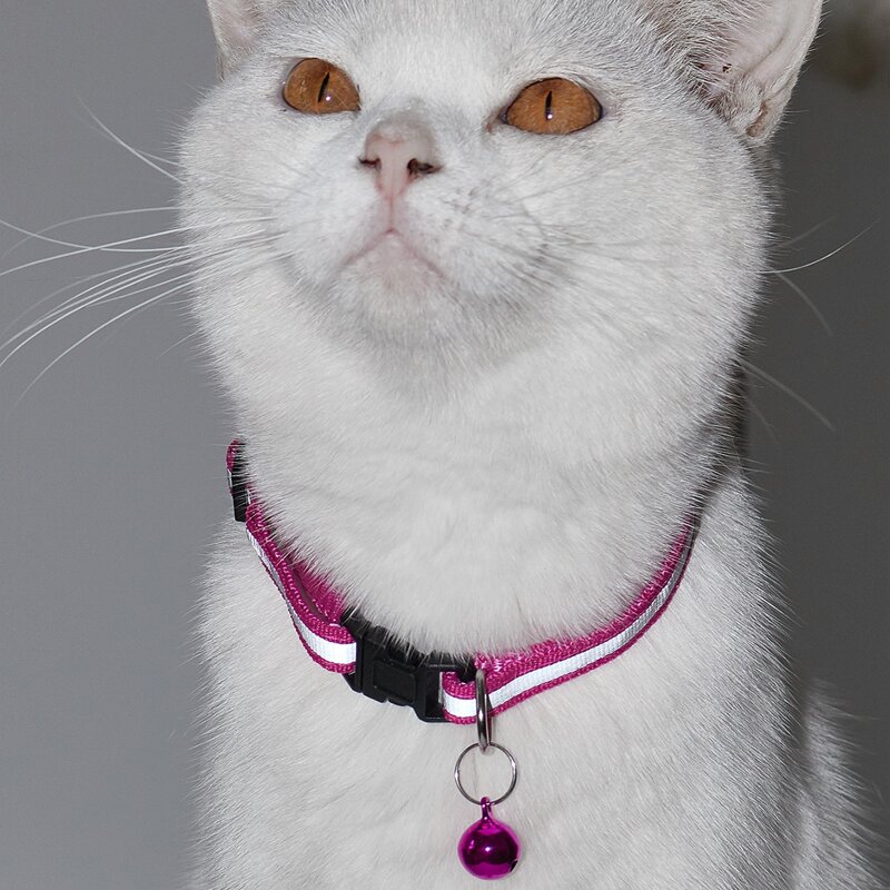 

Bell Decor Reflective Pet Collar, Hot pink