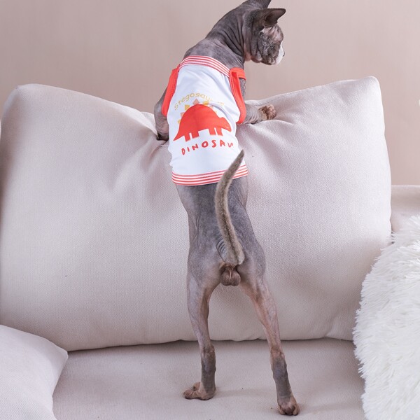 

Dinosaur Print Pet Tank, Orange