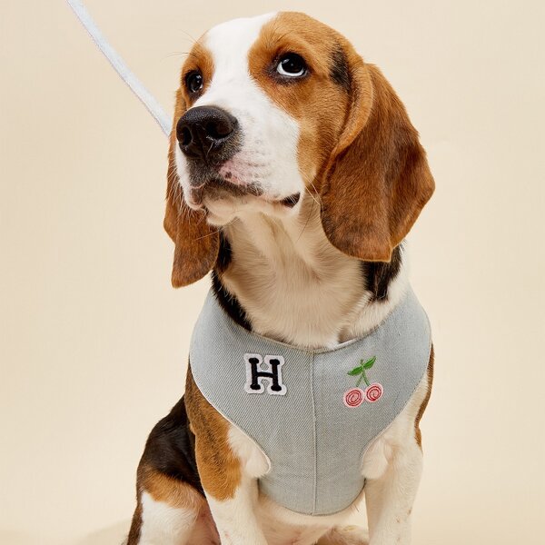 

1pc Embroidery Detail Pet Harness & 1pc Pet Leash, Multicolor