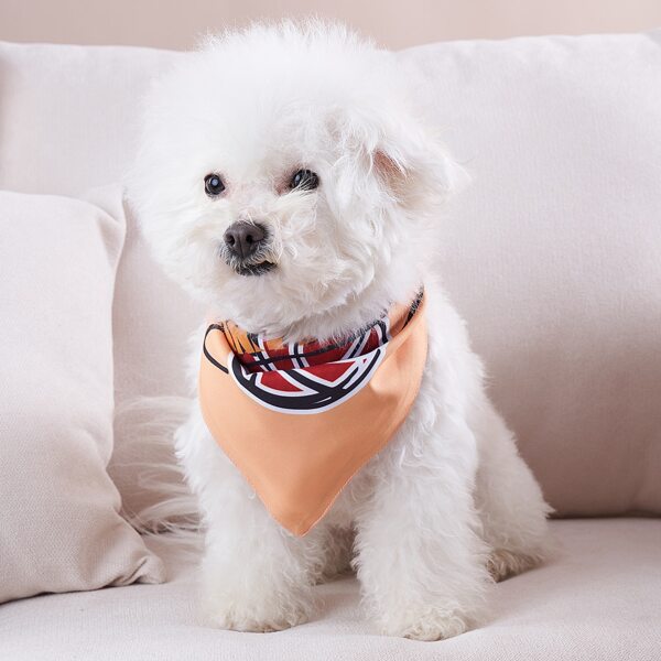 

Basketball Print Pet Bandana, Orange
