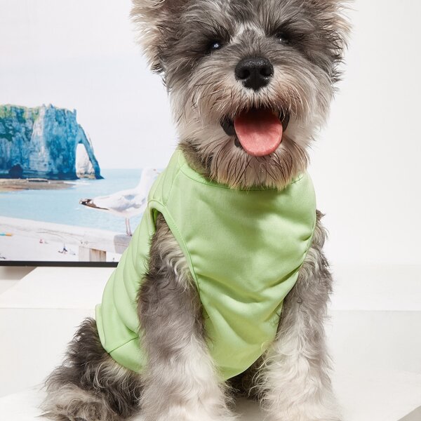 

Plain Pet Tank, Mint green