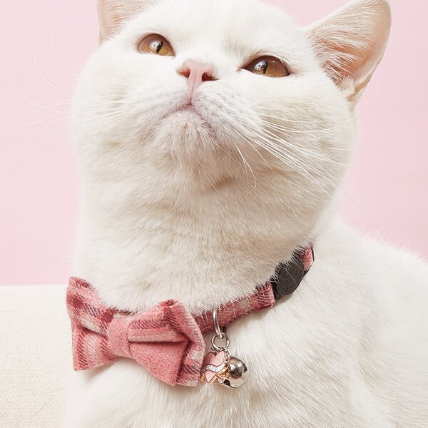 

1pc Bow & Bell Decor Pet Collar, Coral pink