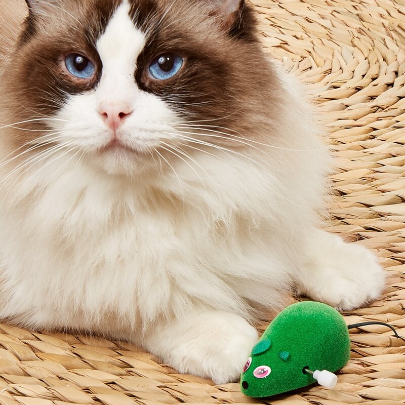 

1pc Random Color Mouse Shaped Cat Toy, Multicolor