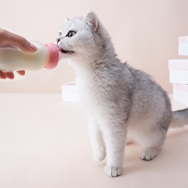 

1pc Pet Feeding Bottle, Pink