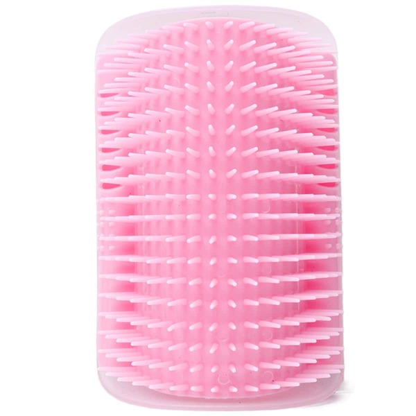 

2pcs Random Color Pet Hair Brush, Multicolor