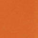 Burnt Orange