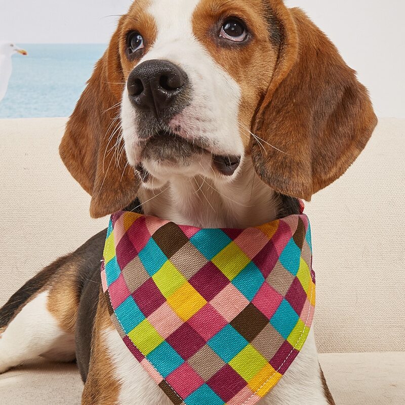 

Plaid Pattern Pet Bandana, Multicolor