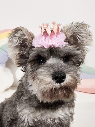 Pearl Crown Pet Birthday Hat - Weird Pet Products from SHEIN