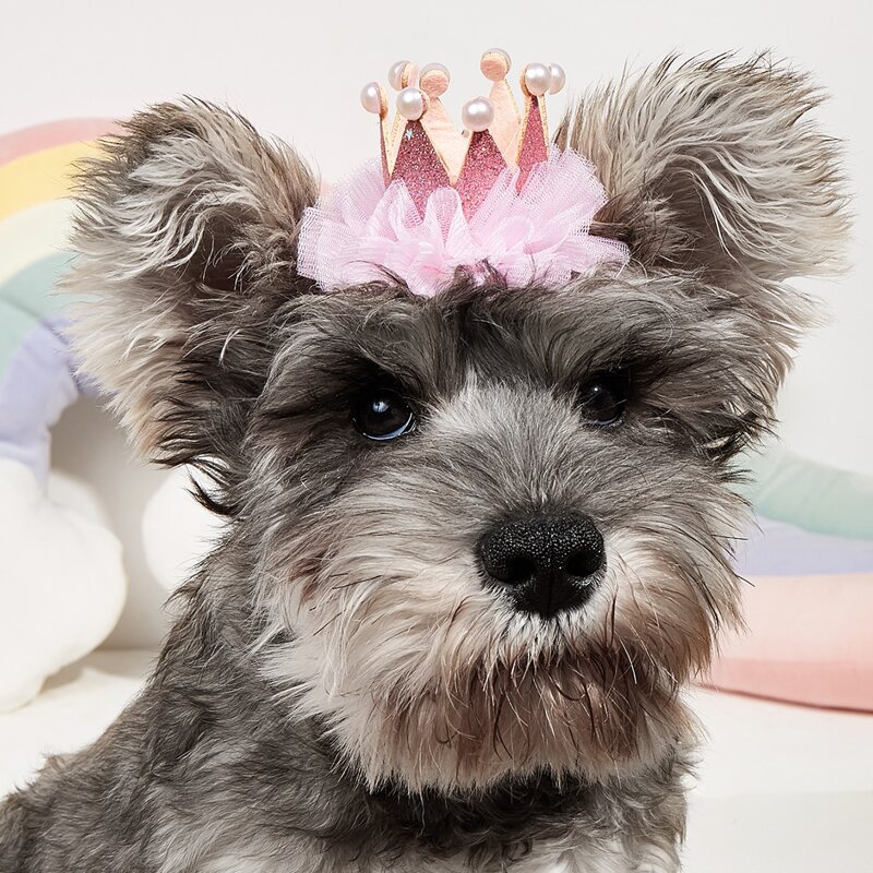 

Pearl Crown Pet Birthday Hat, Pink