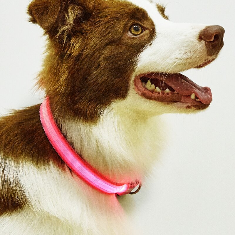 

LED Light Striped Pet Collar With Battery, Pink