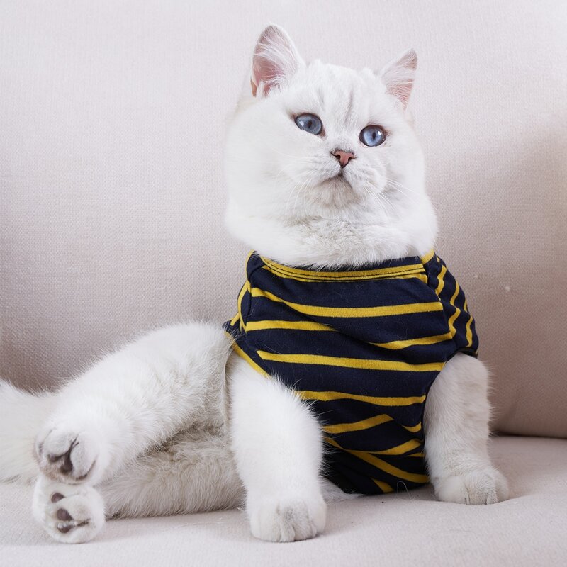 

Striped Pattern Pet Tank, Multicolor