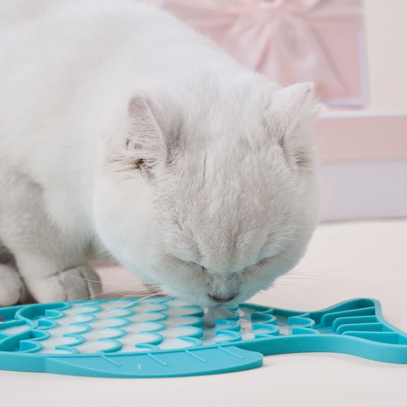 

Fish Shaped Slow Feeder Pet Bowl, Blue