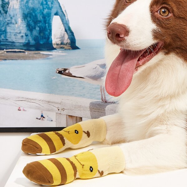 

4pcs Bee Print Pet Sock, Multicolor