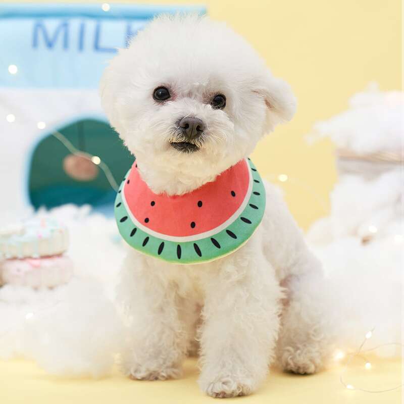 

Watermelon Print Pet Bib, Multicolor