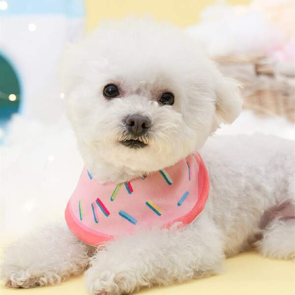 

Graphic Print Pet Bib, Pink
