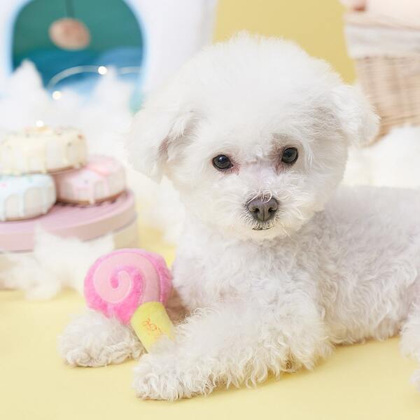 

Lollipop Shaped Pet Sound Toy, Pink