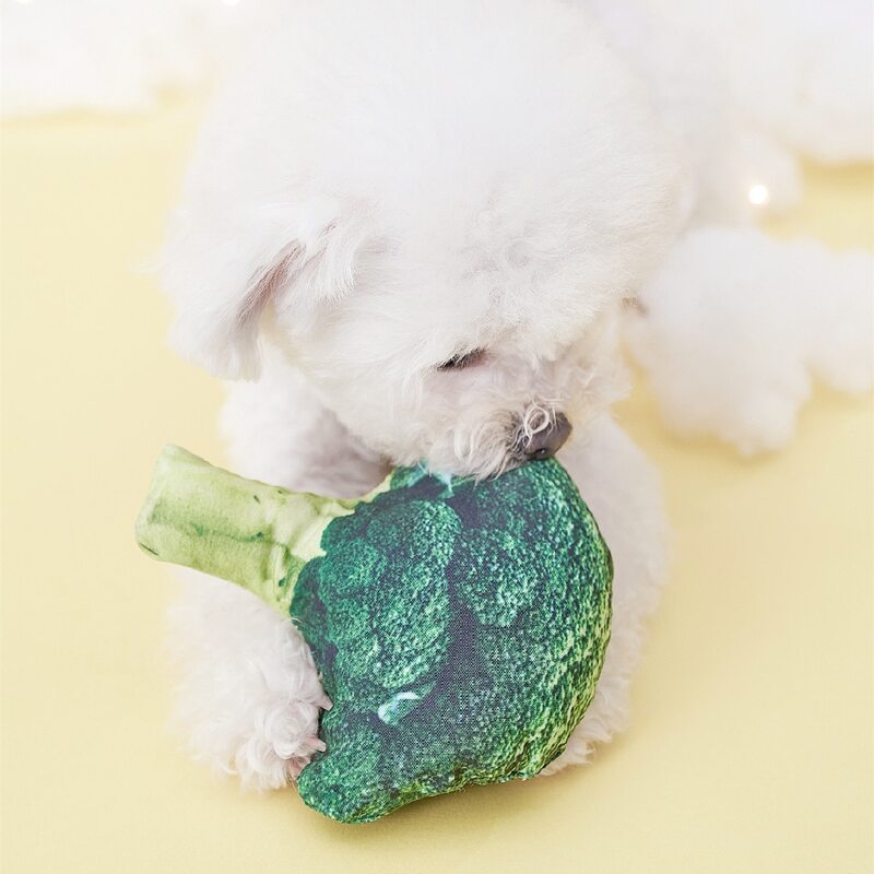 

Broccoli Shaped Pet Sound Toy, Green