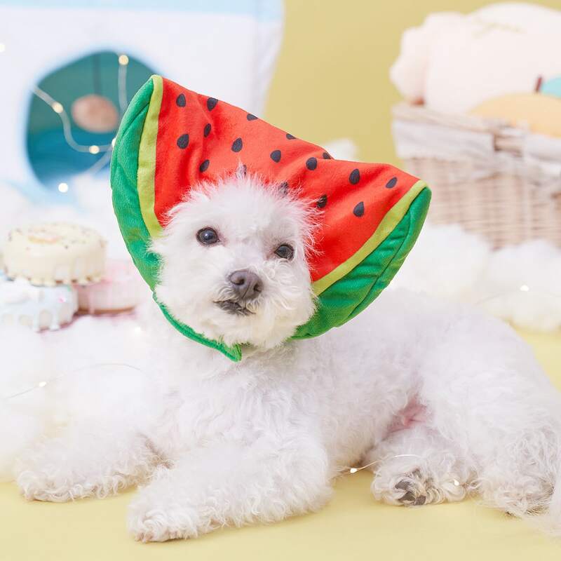 

Watermelon Design Pet Headwear, Multicolor